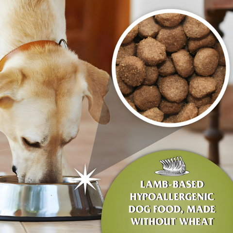 Hypoallergenic Wheat-Free Dry Dog Food: Dr. John Lamb with Rice 15kg