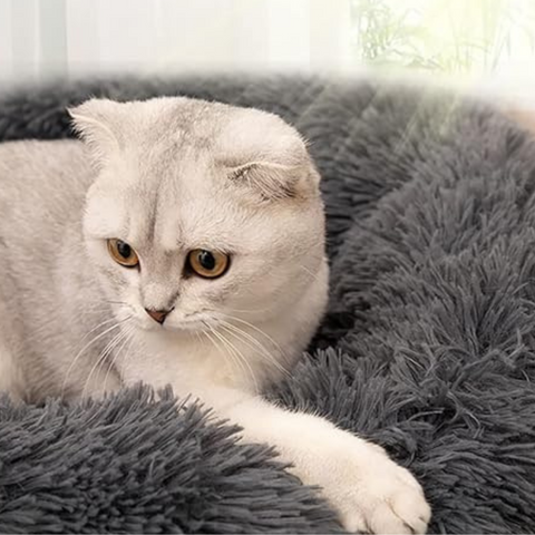 Fhodigogo Round Pet Bed: Cozy nest for cats and small dogs, with anti-slip bottom. Size: M (43x43x12cm)